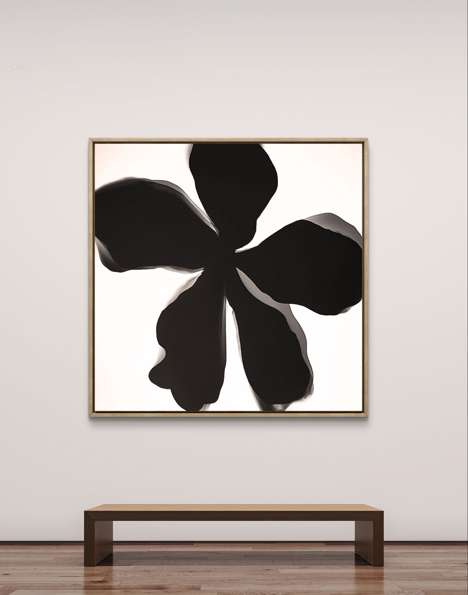 Monochrome Bloom Tony Illustrations